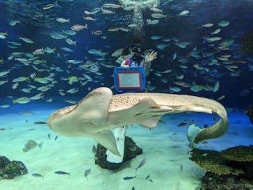 サンシャイン水族館に投稿された画像（2022/12/24）