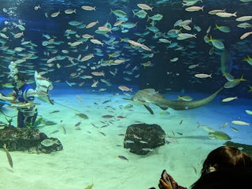 サンシャイン水族館に投稿された画像（2022/12/24）