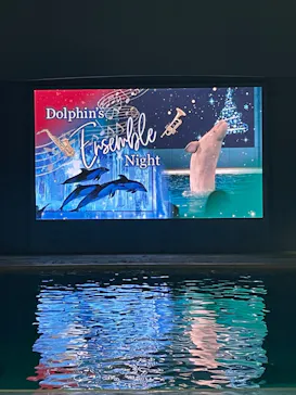 横浜・八景島シーパラダイスに投稿された画像（2022/12/24）