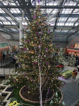 安城産業文化公園デンパークに投稿された画像（2022/12/24）