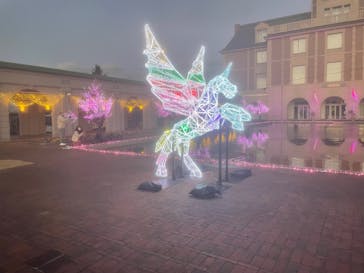 神戸イルミナージュに投稿された画像（2022/12/24）