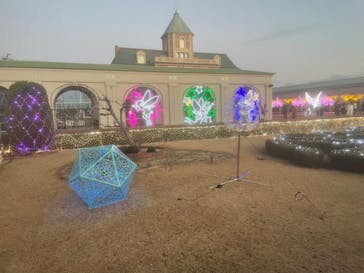 神戸イルミナージュに投稿された画像（2022/12/24）