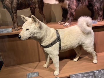 国立科学博物館に投稿された画像（2022/12/24）