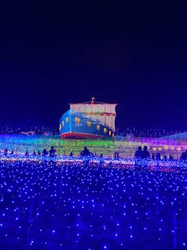 なばなの里に投稿された画像（2022/12/24）