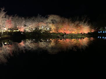 なばなの里に投稿された画像（2022/12/24）