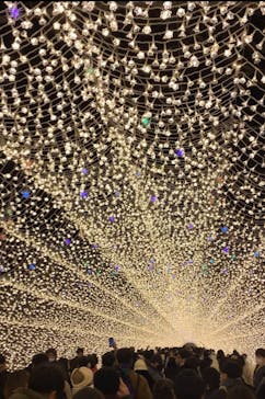 なばなの里に投稿された画像（2022/12/24）