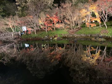 なばなの里に投稿された画像（2022/12/24）