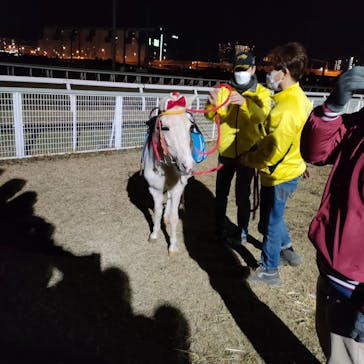 東京メガイルミに投稿された画像（2022/12/24）
