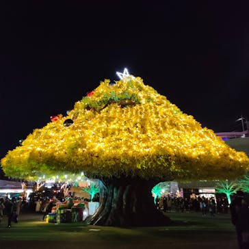 東京メガイルミに投稿された画像（2022/12/24）