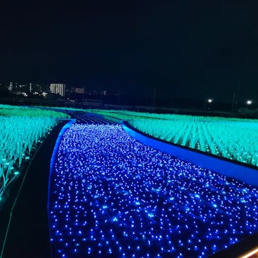 東京メガイルミに投稿された画像（2022/12/24）