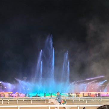 東京メガイルミに投稿された画像（2022/12/24）