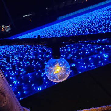 東京メガイルミに投稿された画像（2022/12/24）