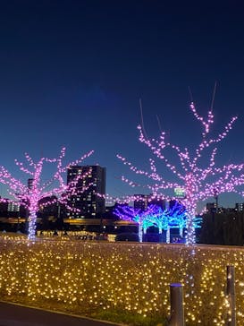 東京メガイルミに投稿された画像（2022/12/24）