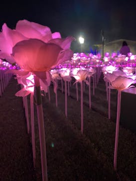 東京メガイルミに投稿された画像（2022/12/24）