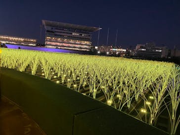 東京メガイルミに投稿された画像（2022/12/24）