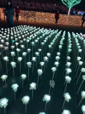 東京メガイルミに投稿された画像（2022/12/24）