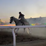 東京メガイルミに投稿された画像（2022/12/25）