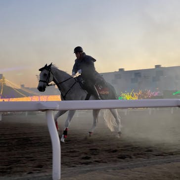 東京メガイルミに投稿された画像（2022/12/24）