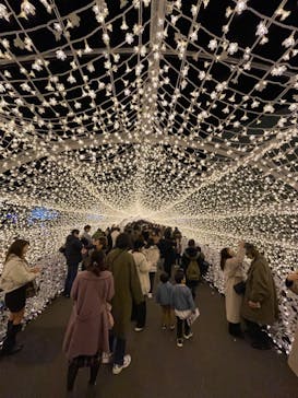 東京メガイルミに投稿された画像（2022/12/24）