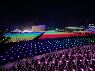 東京メガイルミに投稿された画像（2022/12/24）