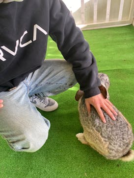 しろとり動物園に投稿された画像（2022/12/24）