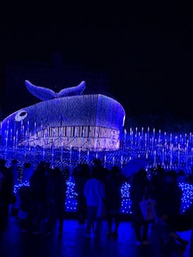 なばなの里に投稿された画像（2022/12/24）