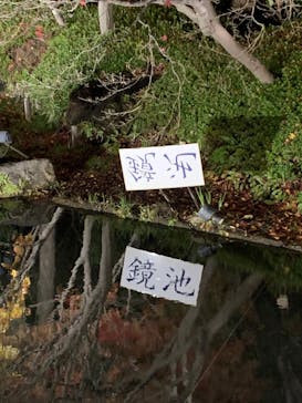 なばなの里に投稿された画像（2022/12/24）