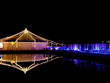 東京メガイルミに投稿された画像（2022/12/24）