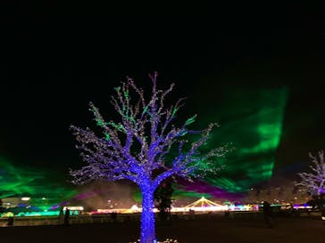 東京メガイルミに投稿された画像（2022/12/24）