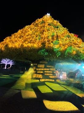 東京メガイルミに投稿された画像（2022/12/24）