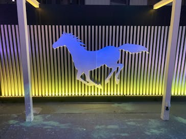 東京メガイルミに投稿された画像（2022/12/24）