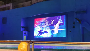 横浜・八景島シーパラダイスに投稿された画像（2022/12/24）