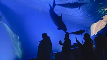 横浜・八景島シーパラダイスに投稿された画像（2022/12/24）