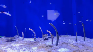 横浜・八景島シーパラダイスに投稿された画像（2022/12/24）