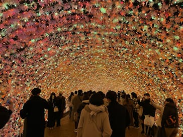 なばなの里に投稿された画像（2022/12/24）