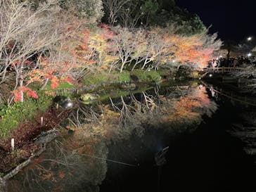 なばなの里に投稿された画像（2022/12/24）