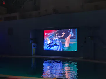 横浜・八景島シーパラダイスに投稿された画像（2022/12/24）