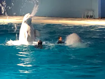 横浜・八景島シーパラダイスに投稿された画像（2022/12/24）