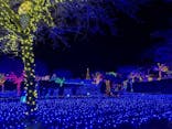 伊豆ぐらんぱる公園に投稿された画像（2022/12/25）