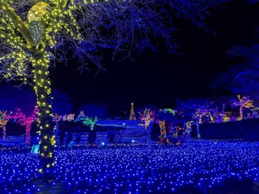 伊豆ぐらんぱる公園に投稿された画像（2022/12/24）