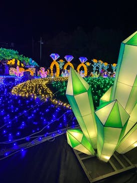 伊豆ぐらんぱる公園に投稿された画像（2022/12/24）