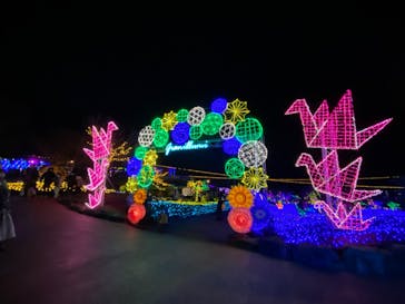 伊豆ぐらんぱる公園に投稿された画像（2022/12/24）