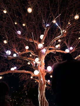 西武園ゆうえんちに投稿された画像（2022/12/24）