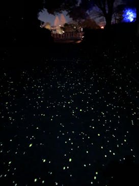 西武園ゆうえんちに投稿された画像（2022/12/24）