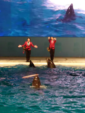 横浜・八景島シーパラダイスに投稿された画像（2022/12/24）