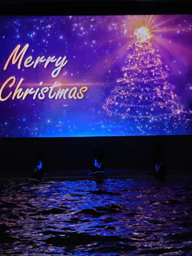 横浜・八景島シーパラダイスに投稿された画像（2022/12/24）