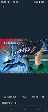 横浜・八景島シーパラダイスに投稿された画像（2022/12/24）