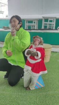 おさるランド＆アニタウン　日光さる軍団劇場に投稿された画像（2022/12/24）