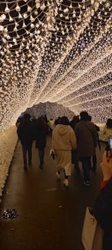 なばなの里に投稿された画像（2022/12/24）