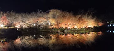 なばなの里に投稿された画像（2022/12/24）